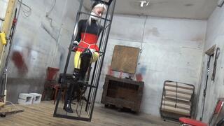 Captive Visitor Conclusion