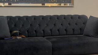 You will eat chocklate under my feet