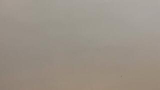 I will crush your dick under my feet