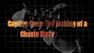 Captive Cock The Making of a Chaste Slave 18 min