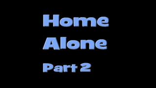 Home Alone 2