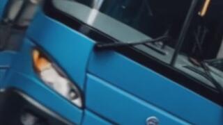 Giant Jay Takes The Neighborhood