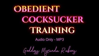 Obedient Cocksucker Training - Audio Only MP3