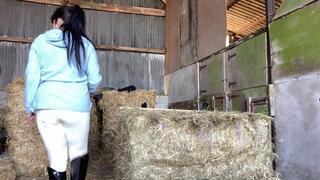 Pushed Over The Hay Bale