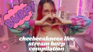 Cheebeezkneez Burps On Stream - Live Stream Compilation - Belch