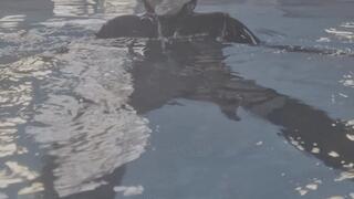 swimming full wetsuit and snorkel
