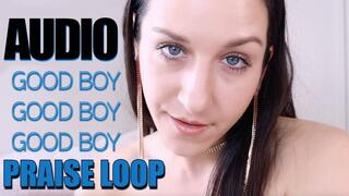 Good Boy Praise Loop (Audio)