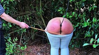 Taming a wild butt with plug, spanking, strap, wooden spoon, tazapper and cane