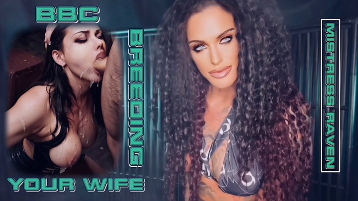 BBC BREEDING YOUR WIFE - QOS, BNWO, Cuckold - PORNMEKA