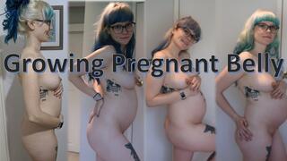 Pregnancy BELLY BUMP Growth