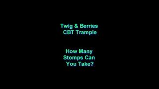 How Many Stomps Can You Take?