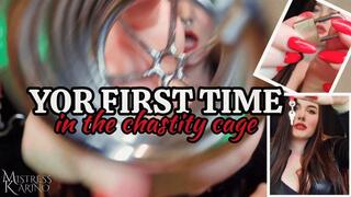You're Locked Up in Chastity by Mistress Karino - Femdom POV [MP4 FHD]