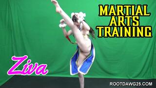 Ziva - Martial Arts Training