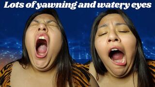 Lots of yawning and watery eyes