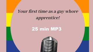 Your first time as a gay whore apprentice