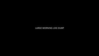 LARGE MORNING LOG DUMP