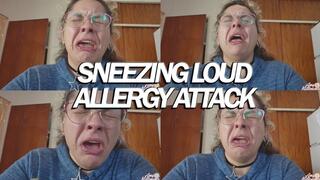 SNEEZING LOUD ALLERGY ATTACK