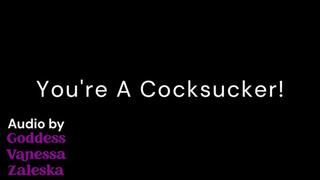 Forever A Cocksucker Audio - Forever A Cocksucker Audio - Cocksucking Encouragement, Voice Fetish, Make Me Bi, Encouraged Bi Audio Only by Goddess Vanessa Zaleska