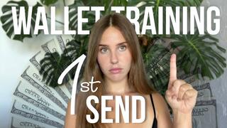 Wallet Training: 1st Send