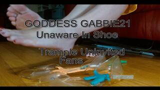 Goddess Gabbie21 Unaware Trampling Uninvited Fans (Fan Custom)