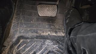 More time in borrowed bearpaws