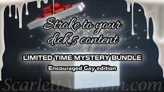 LIMITED TIME - Stroke to your dick's content - Encouraged Gay MYSTERY BUNDLE - WMV HD