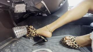 Hauling Serious ASS And Driving In Leopard Skin Mules
