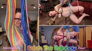 PV441 - Catch the Rainbow