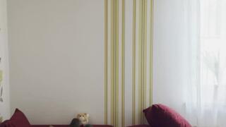 Judy's total ownage by reverse headscissors