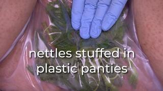 nettles stuffed in plastic panties - uncaptioned