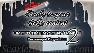 LIMITED TIME - Stroke to your dick's content - Encouraged Gay MYSTERY BUNDLE part 2 - WMV HD