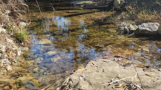 Fifi walking and splashing in the creek in new grey leather boots to see how waterproof they are *NEW*
